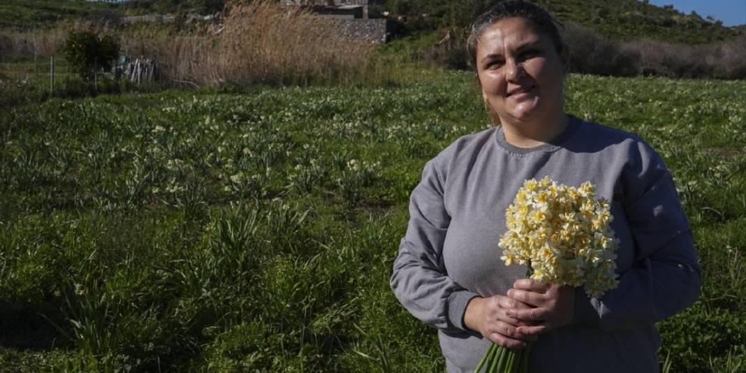 Kokusuyla fark atıyor, kadınlara gelir oluyor! Karaburun’da mis kokulu hasat: Sonbaharda başlıyor kış boyu sürüyor 7